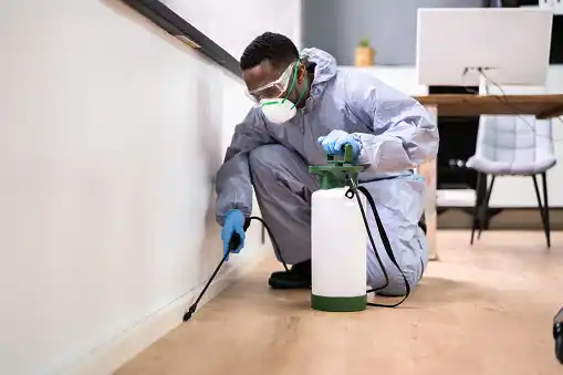 pest control North Ponce de Leon